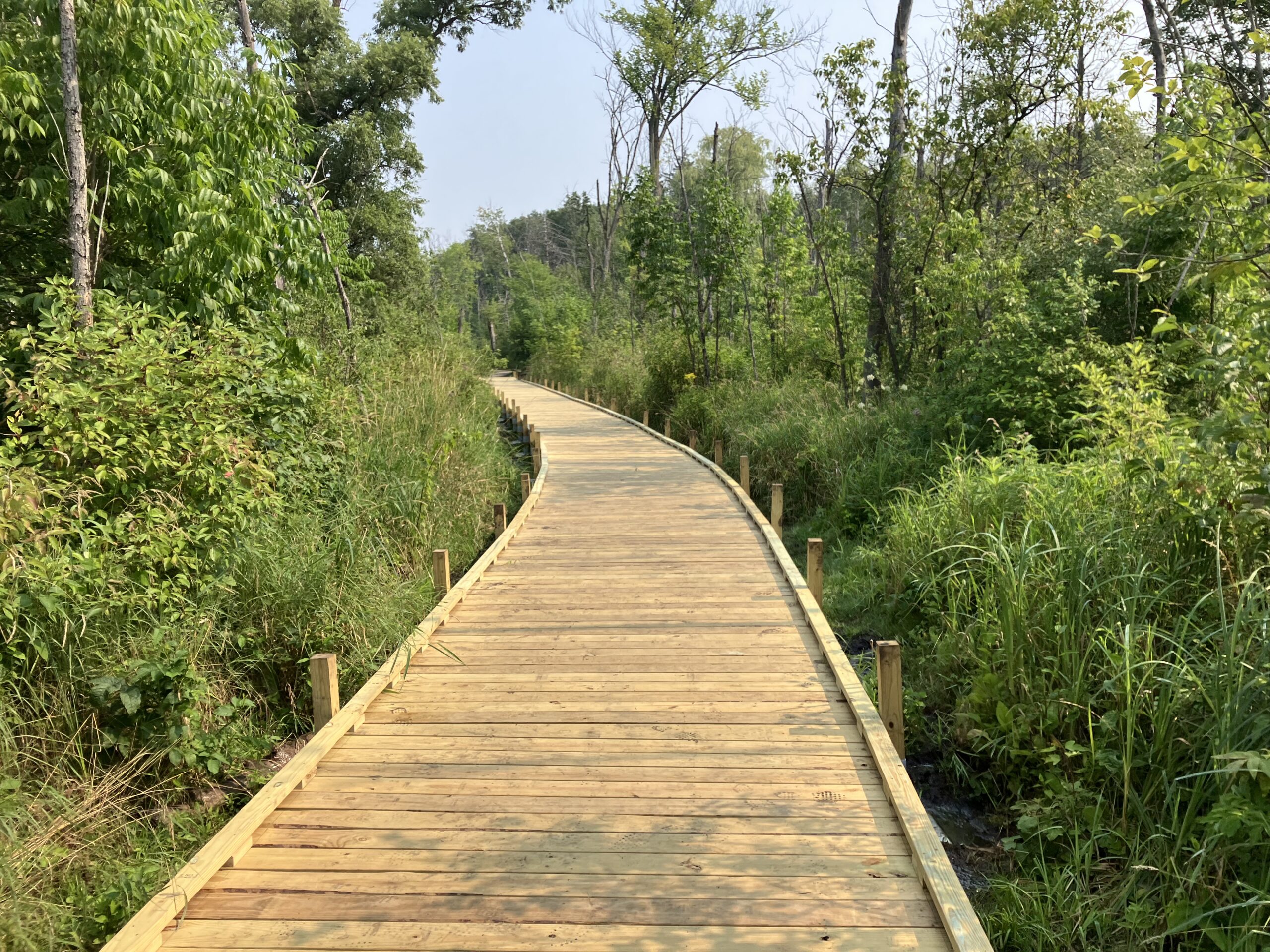 20250802_151020669_iOS